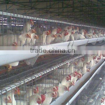 Chicken Battery Poultry Cage