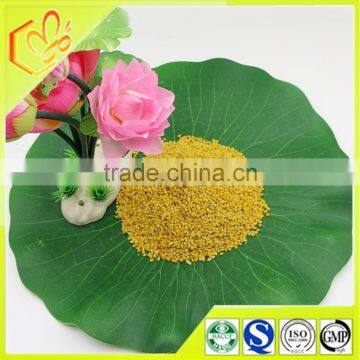 health and beauty products loss weight superfood granulated lotus beee pollen