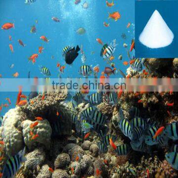 Salt Water Aquarium Fish Salt 50Gallon Sale Tropical Fish Farm