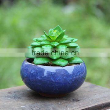 Garden Cracked Ice Succulent Plants Porcelain Flower Pot photo-6