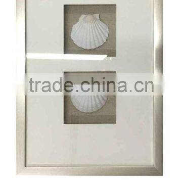 Shadow Box with White Seashell