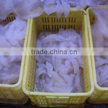 Salted Jellyfish photo-2