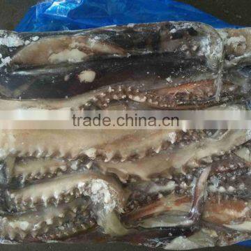 High Quality Wholesale Frozen Vietnam Squid With Best Price photo-3