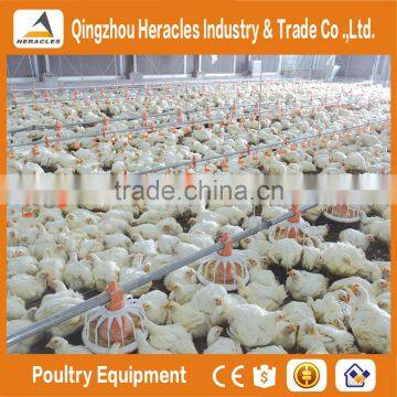 Factory price poultry farm equipment for brolier and breeders