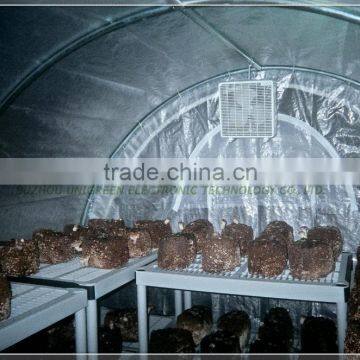 Cheap Film Tunnel Mushroom Greenhouse photo-2