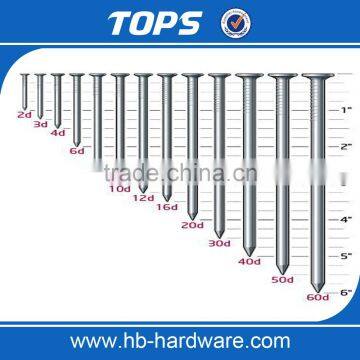 Tops Large 2 Inch Common Wire Nail photo-2