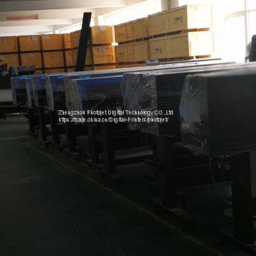 Dx7 Print Head China Made Eco Solvent Printer Machine Price List photo-4