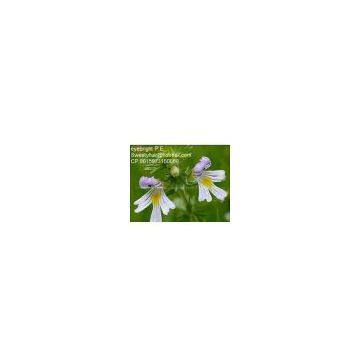 Eyebright Extract sweetyhuir(at)hotmail(dot)com