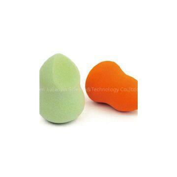 Beauty Makeup Sponge