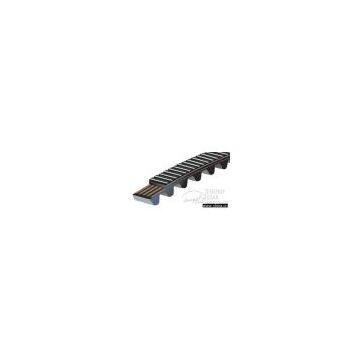 Timing Belts
