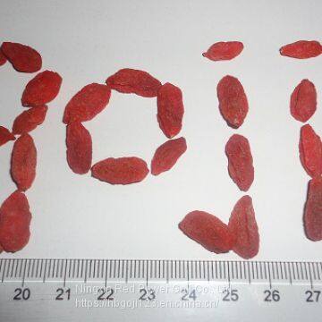 Low pesticide residues dried goji berry / wolfberry