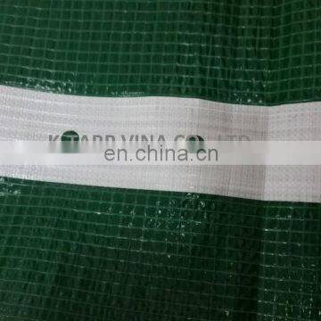 PE Leno scaffolding tarpaulin, pre-punching holes, webbing reinforced band