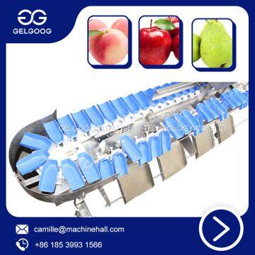 Plastic Feeding Sorting Automatic Aorting Machine Conveyor Automatic Prawn Weight Sorting Classifier