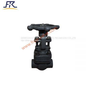 SW Ends Forged Steel Globe Valve