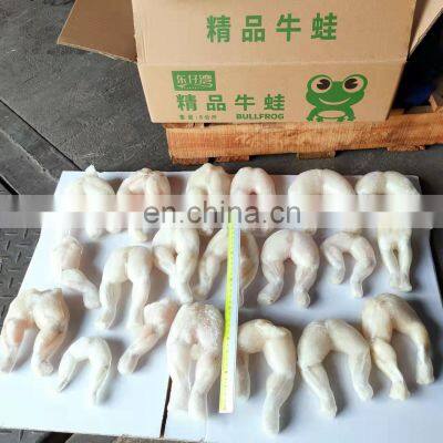China Wholesale Skinless Frozen Bull Frog Legs Frozen Frogs for Sale photo-5