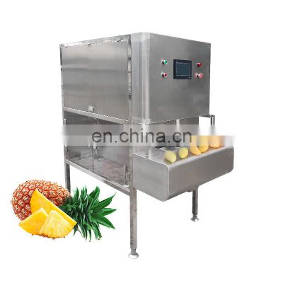 Pinepple Remover Mango Electric Persimmon Apple Coring Dragon Fruit Tangerine Peeler  Ananas Peeling Machine