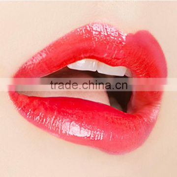 high quality Sunscreen and Waterproof Lipstick diverse Colors lipstick