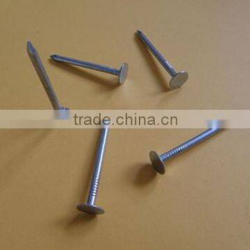 factory on hot sale Linyi manufacturer common wire iron nail common nail