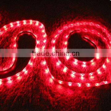 CE&ROHS Certification Waterproof IP68 3528 SMD Strip Led Light With 3 Years Warranty photo-5