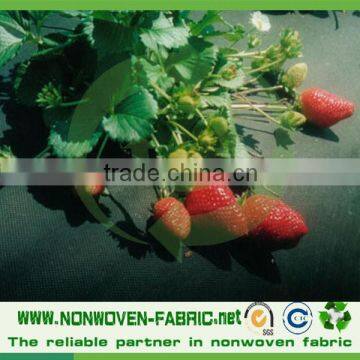 PP Landscape Fabric Weed Control Fabric pp Ground Cover photo-3