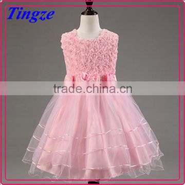 Wholesale lace applique hand-made chiffon girls princess tutu dress TR-WS38