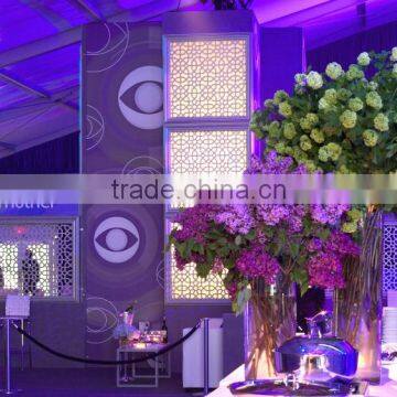 pipe and drape stands wedding stage backdrop decoration