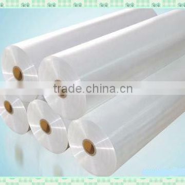 New! hot sale PE FILM in roll for food fresh keeping