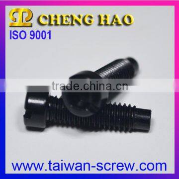 Professional OEM Special Adjustable Fasteners Bolts