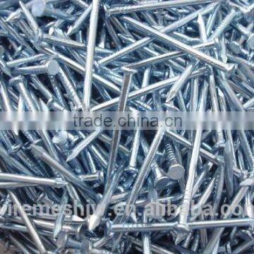 Price of Common Nail /Common Iron Wire Nail