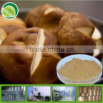 100% natural lion's mane mushroom extract powder