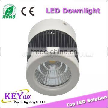 30W COB high brightness cylindrical shape LED Downlight Surface mounted Downlight