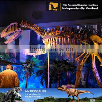 MY Dino-C037 Resin dinosaur skeleton outdoor display