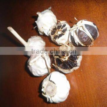 BLACK GARLIC (website: davis.thong)