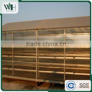 Cambodia Best Grade Black Pepper 550gl/500gl for Black Pepper Extract photo-6