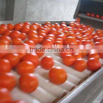 Navel Orange Fruit Cheap Price photo-3