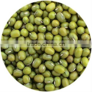 supply dry green mung bean 3.2-3.6mm