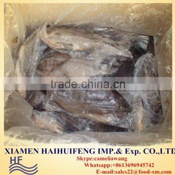 200-300G Fresh Frozen Gutted And Scaled Gilled Fin-off Tai off Tilapia