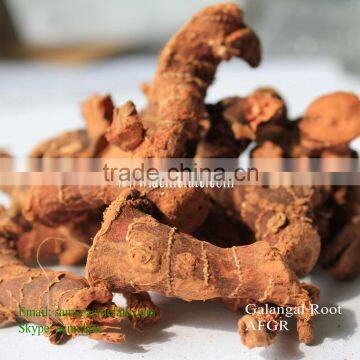 New crop tranditional hot sale seasoning dried galangal