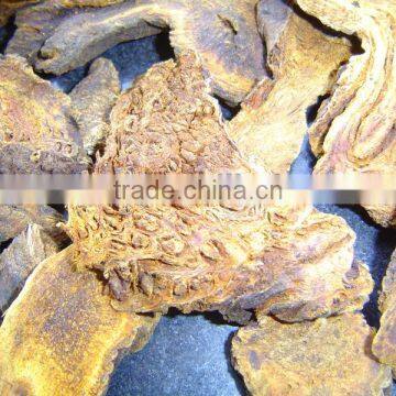 Rhizoma Rhei root