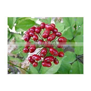 Ginseng Berry