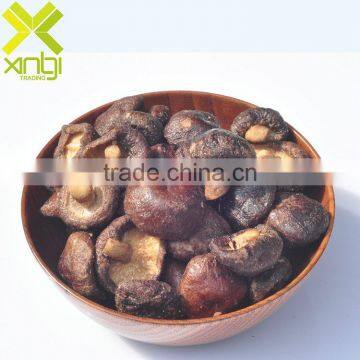 Tasty Crisp Low Temperature Fried Shiitake Mushroom Snacks photo-2