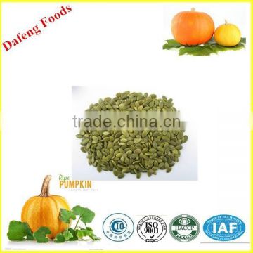 good quality edible pumpkin seeds,pumpkin kernels