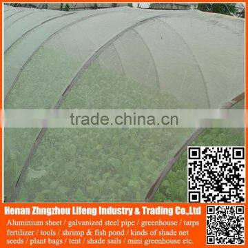 China Factory Hdpe Vegetable Insect Net , Nylon Fruit Anti Insect Net , Plastic Agricultural Greenhouse Anti Insect Proof Net photo-4