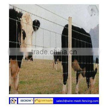 galvanized cattle woven wire mesh fence/field fence/cow fence