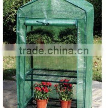 greenhouse mini / greenhouse planting / greenhouse plants