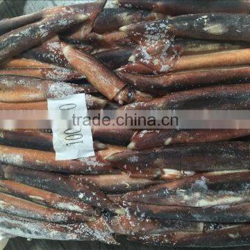 Frozen Illex Squid Whole Round photo-3