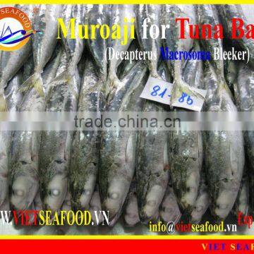 MUROAJI FOR TUNA BAIT photo-3