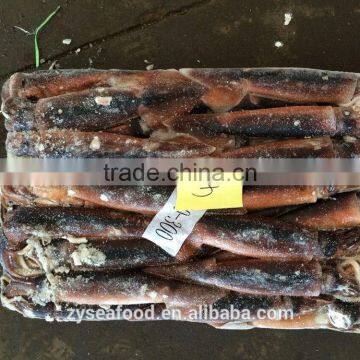 Large Stock Block Shape Argentina Squid Best Exporter photo-2
