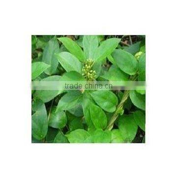 Healthcare Loss weight product Gymnema Sylvestre