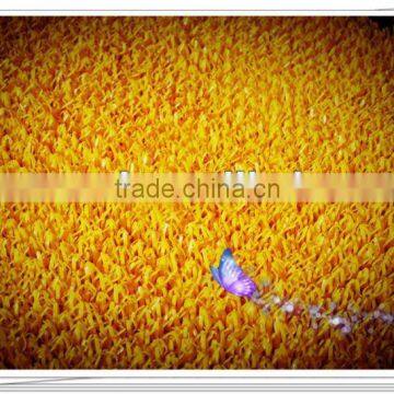 Artificial Grass